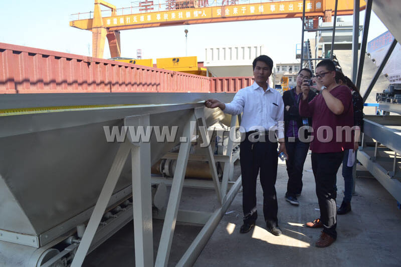 HZS25 Concrete Mixing Plant Through The Third Part Testing